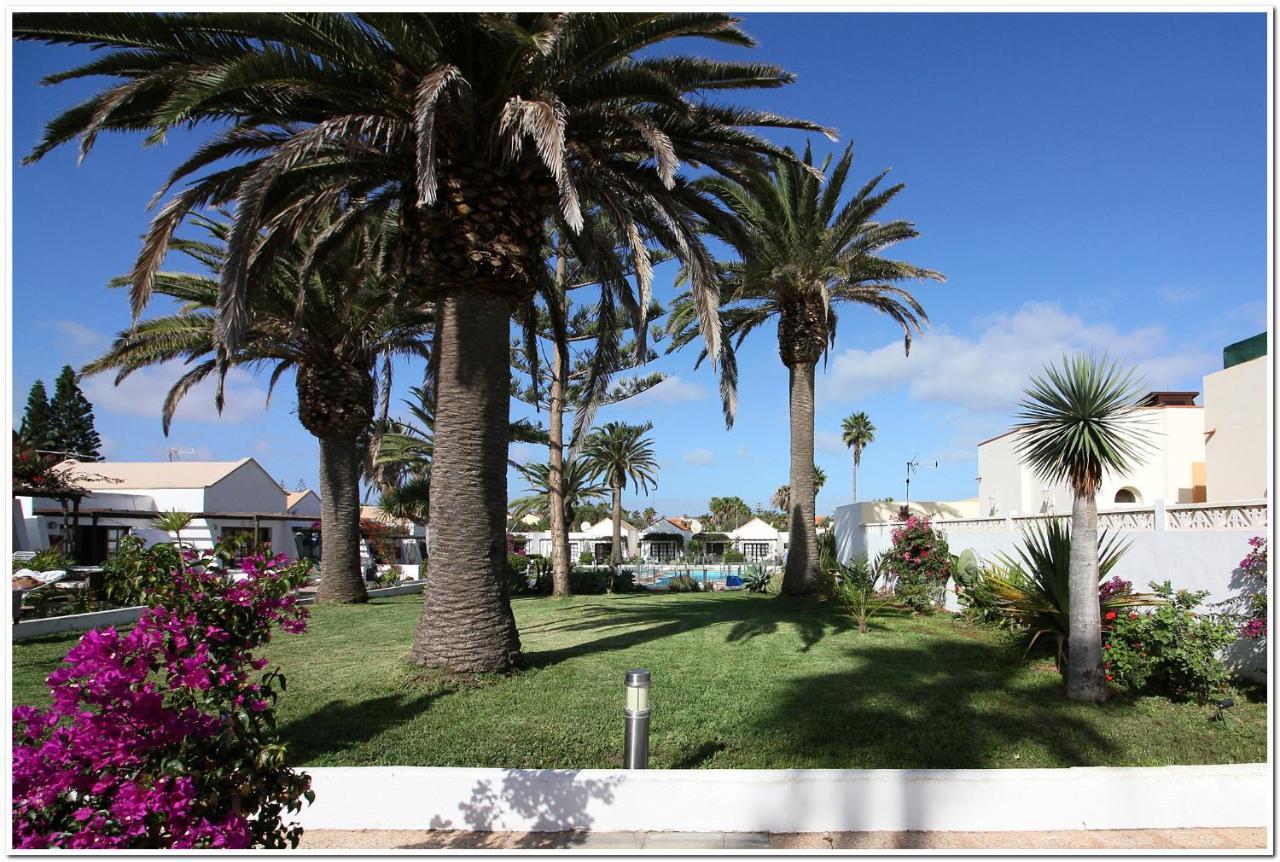Estrella Del Mar 8. 1 Bedroom Villa With Pool And Gardens 300 Metres From The Beach Κοραλέχο Εξωτερικό φωτογραφία